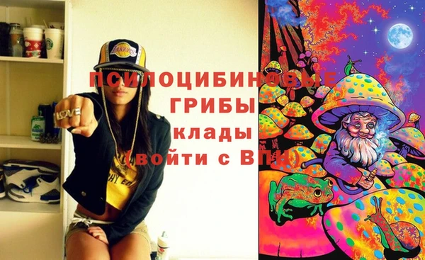 spice Армянск