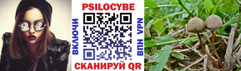 Галлюциногенные грибы прущие грибы  где купить наркотик  это телеграм  Ноябрьск 